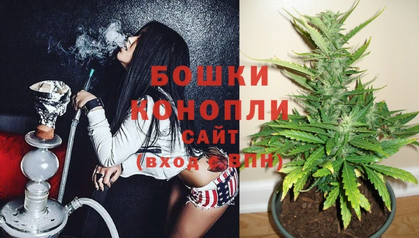 эйфоретик Баксан