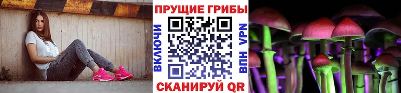 kraken вход  наркошоп  Зима  Галлюциногенные грибы Psilocybe 